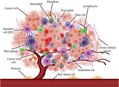 Metallic Nanoparticles for the Modulation of Tumor Microenvironment; A New Horizon